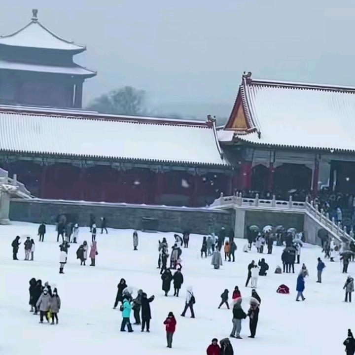 大鹏雄飞