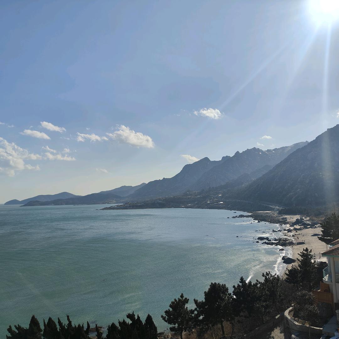 小刘-