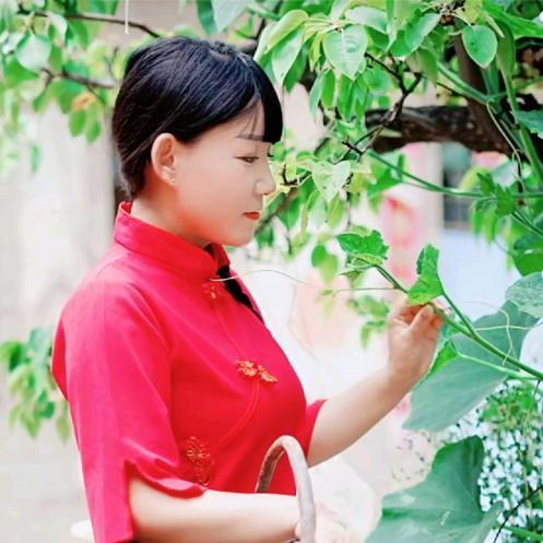 肖赞（新疆驼奶粉总代）
