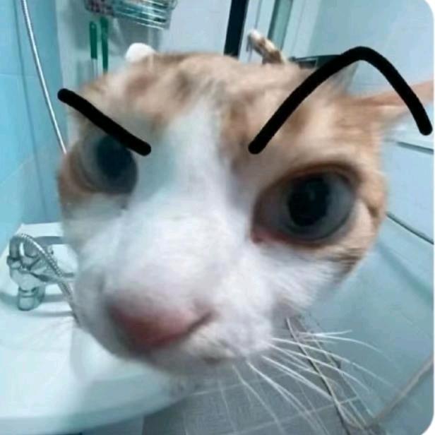 赖督
