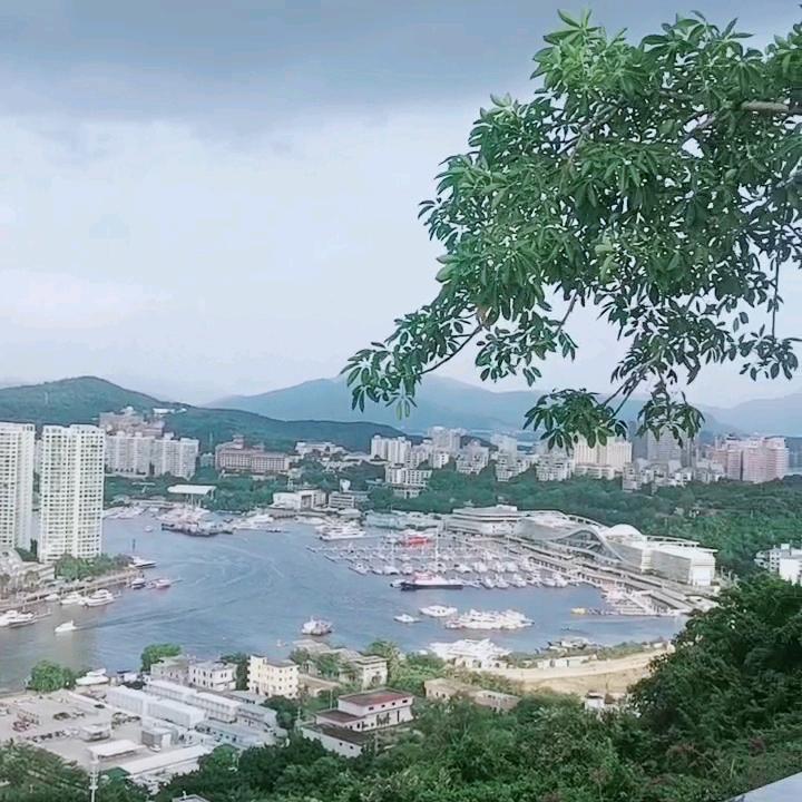 金哥668