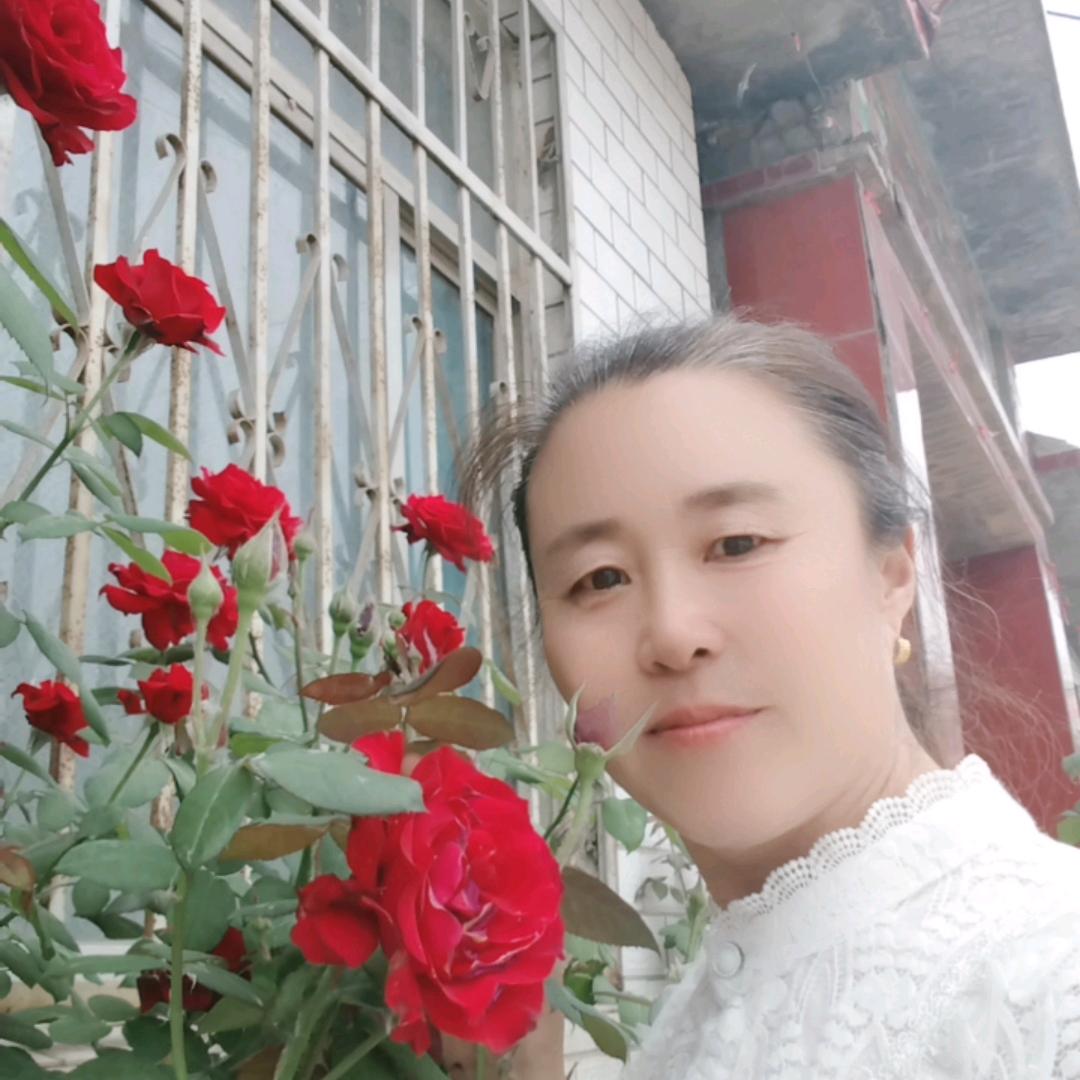 亮丽《橱窗优选》