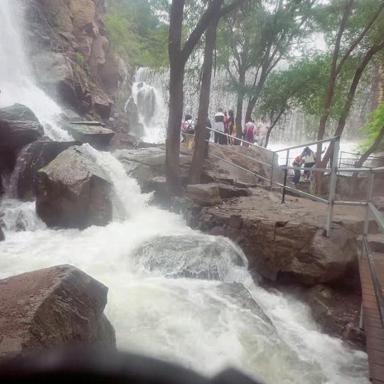 杨歌全屋装修装饰，装修材料大全