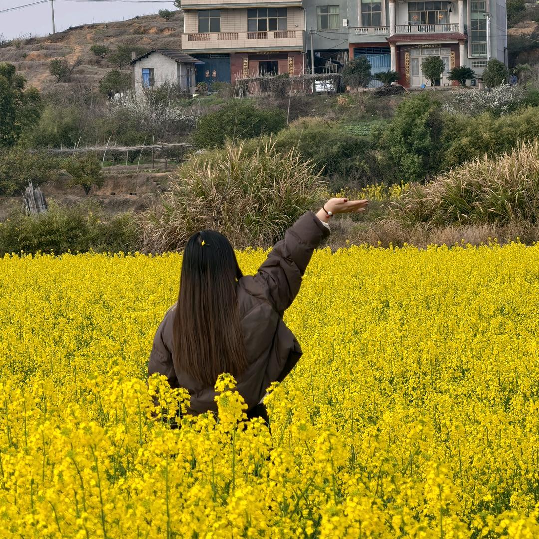 霞光诗意