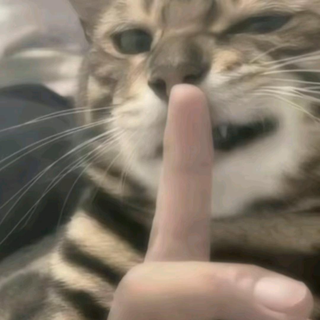 分期泡面