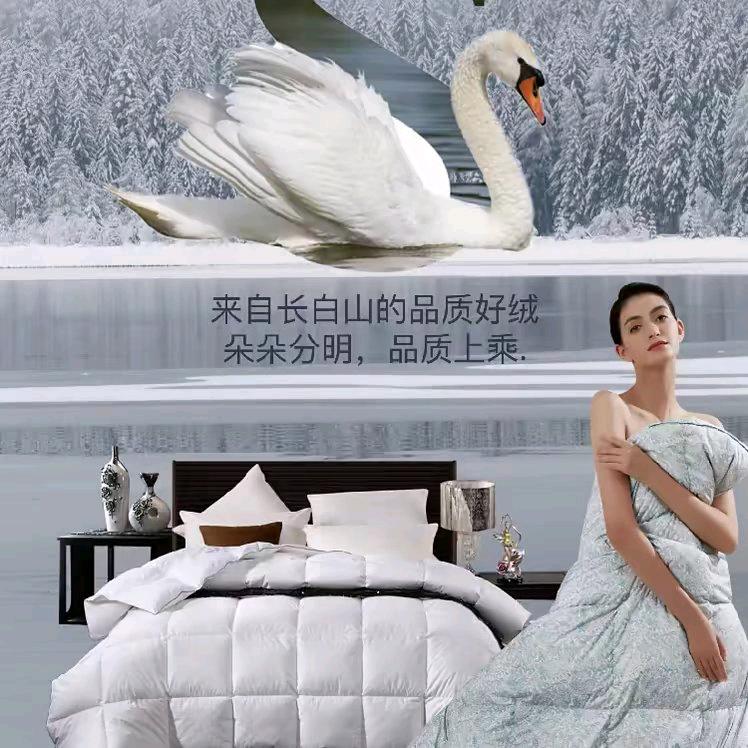 邓州市：专业制作羽绒被蚕丝被新疆棉花等…
