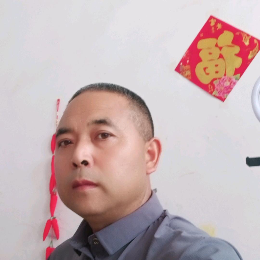 老五直播间