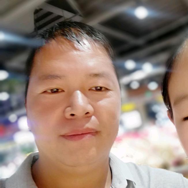 南阳月季基地～老吴说月季