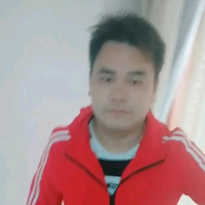 放飞