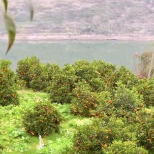 刘英🌹🌹🌺🌺