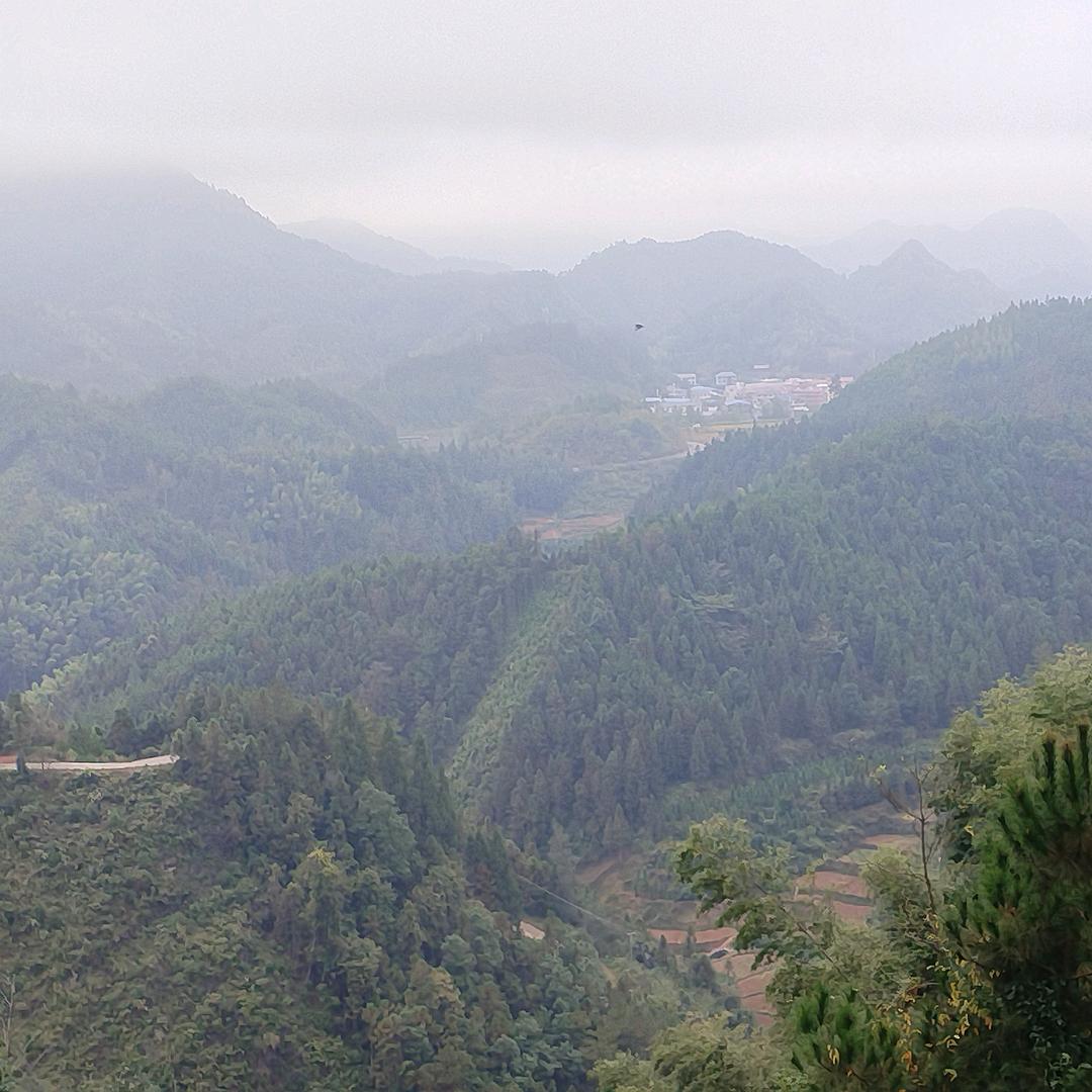 0️⃣8️⃣2️⃣6️⃣