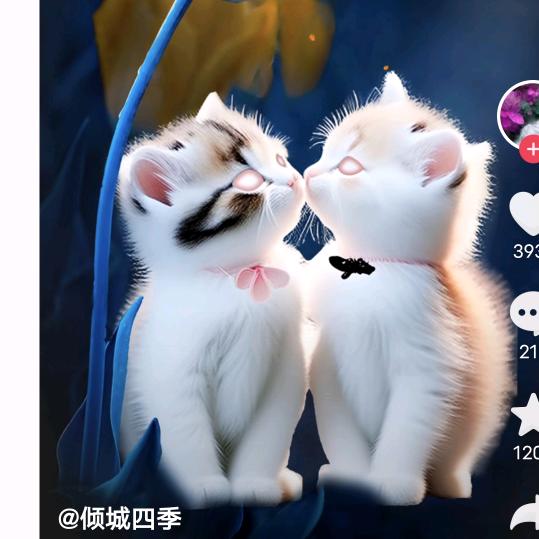 梦龙12.19