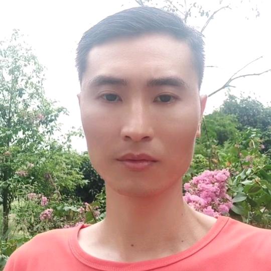 意志控