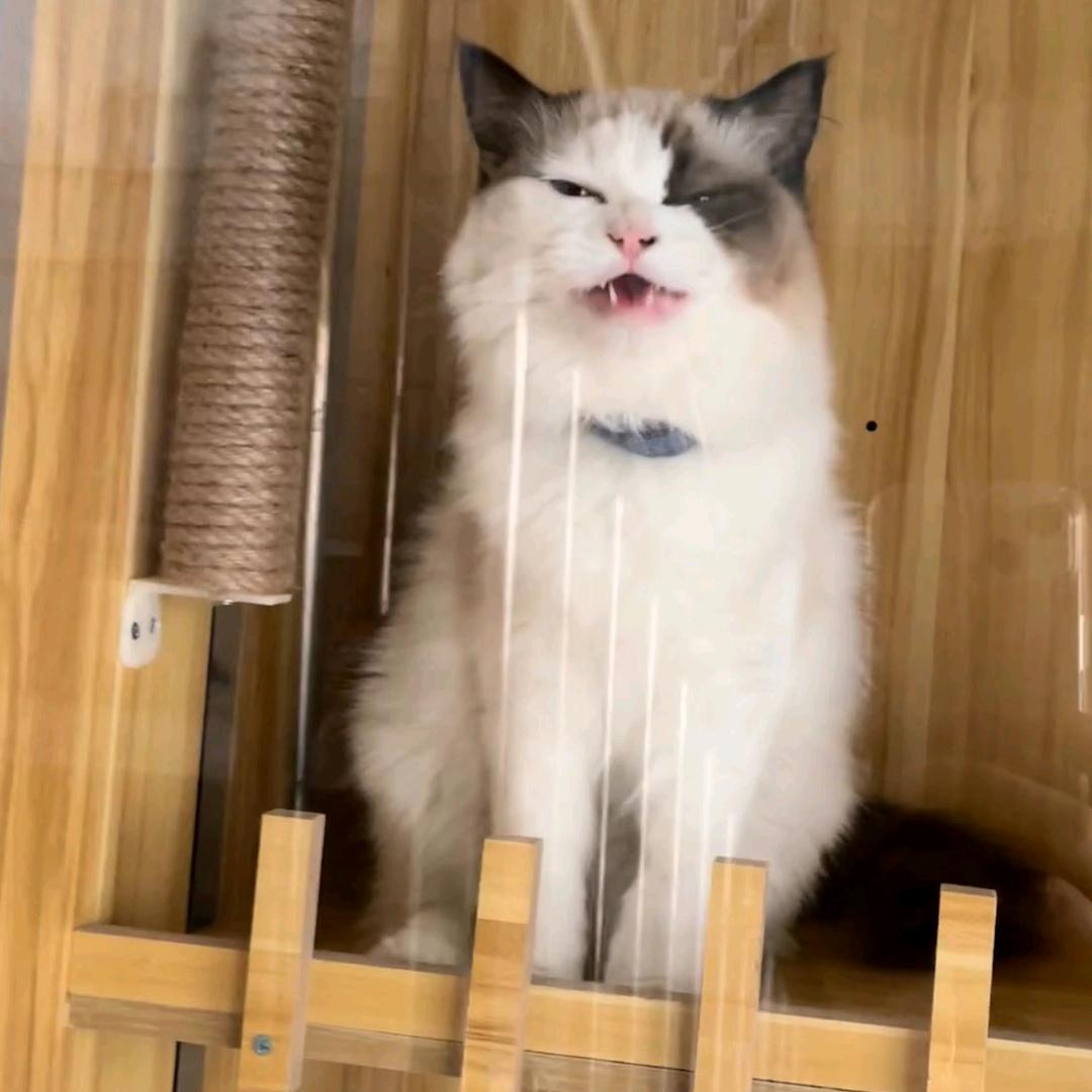 东北人在贵溪