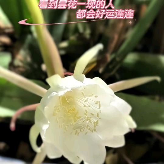 健康平安就好