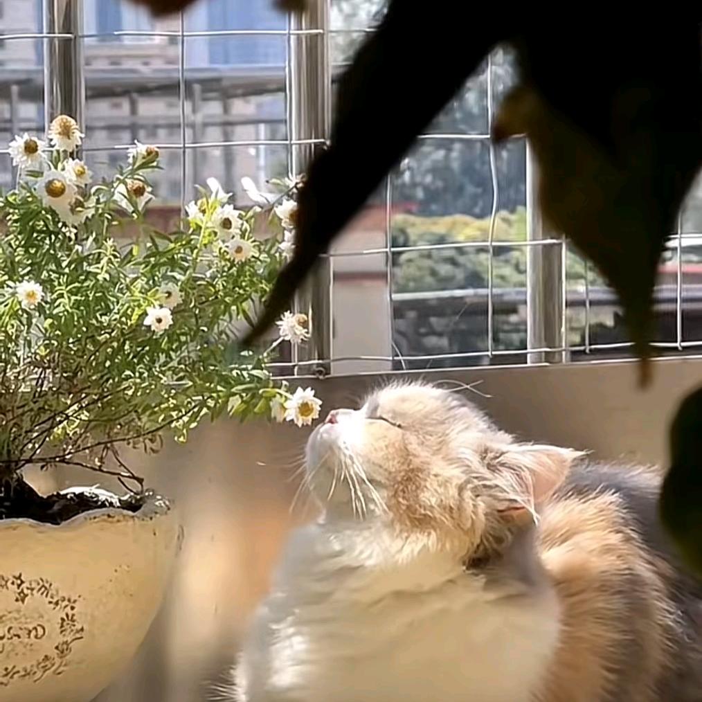 吃萝卜不吐葡萄皮