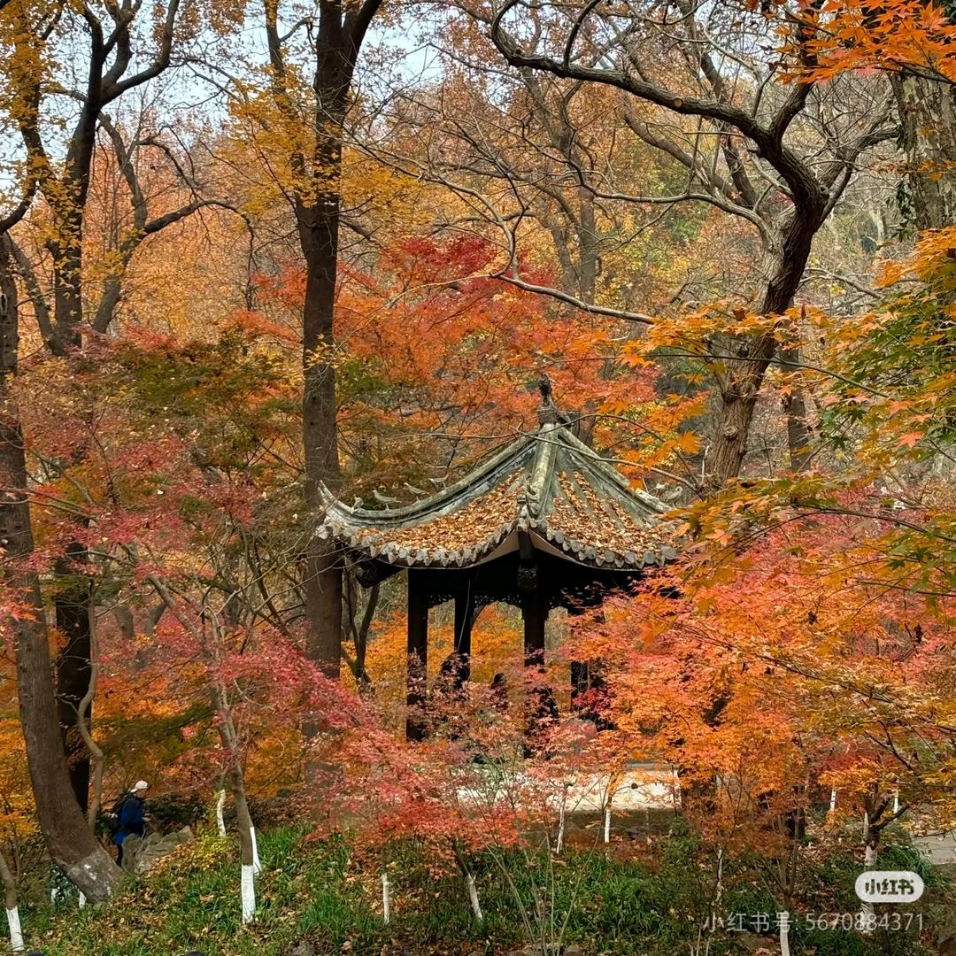 吧唧一口