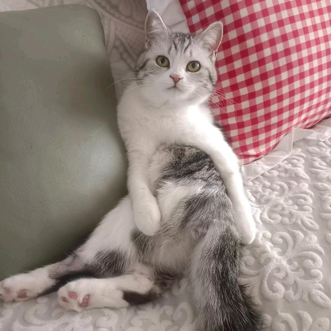 善缘