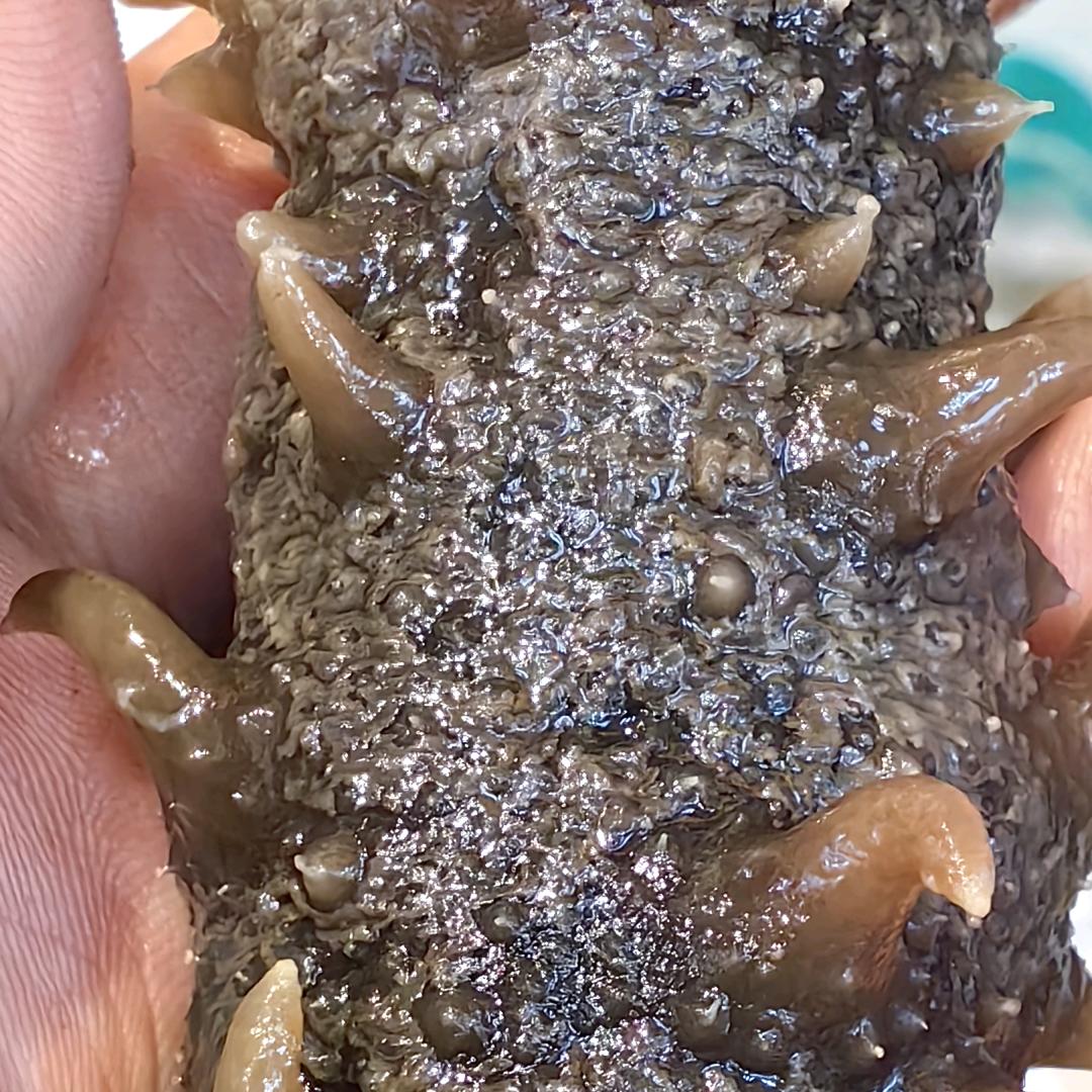 旺角干海鲜批发官方号