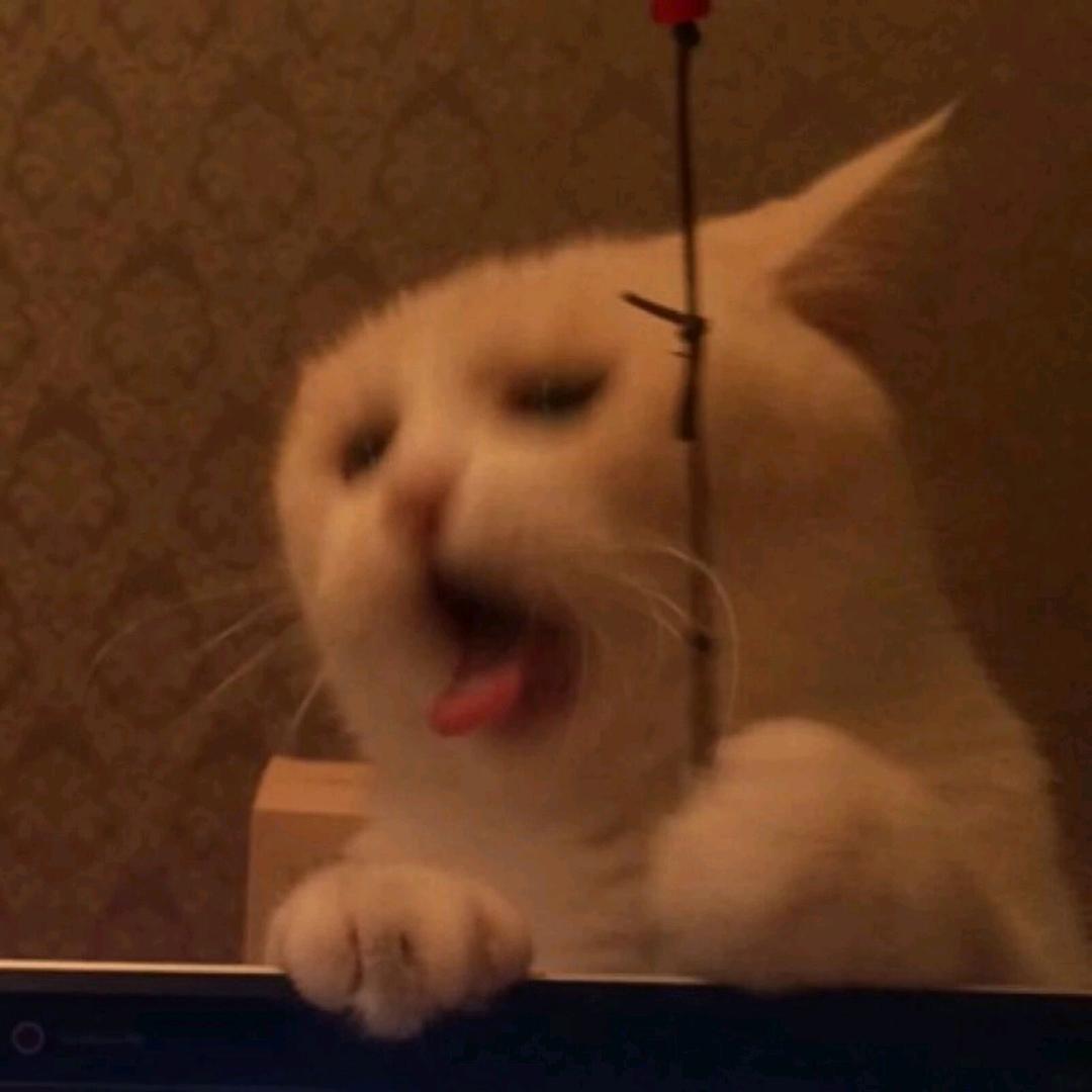 淮南野上