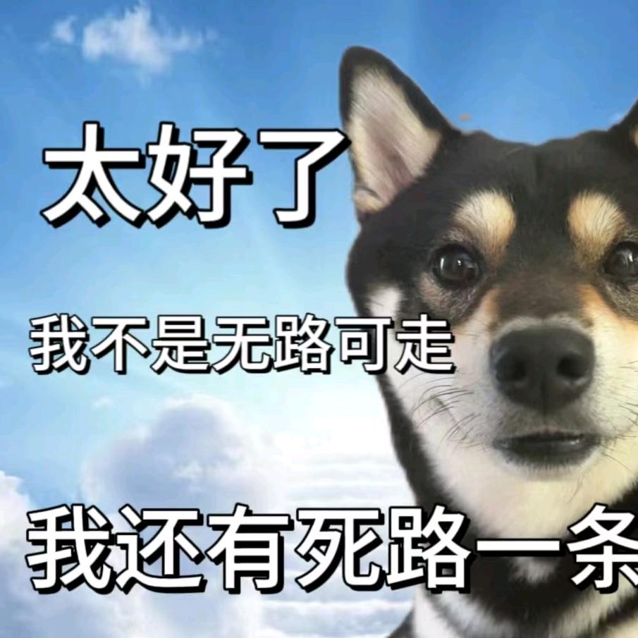 山间假鸟