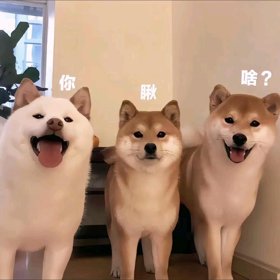寒冮孤影·江湖故人