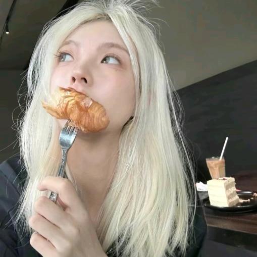 WiFi失联（一周年有🎫版