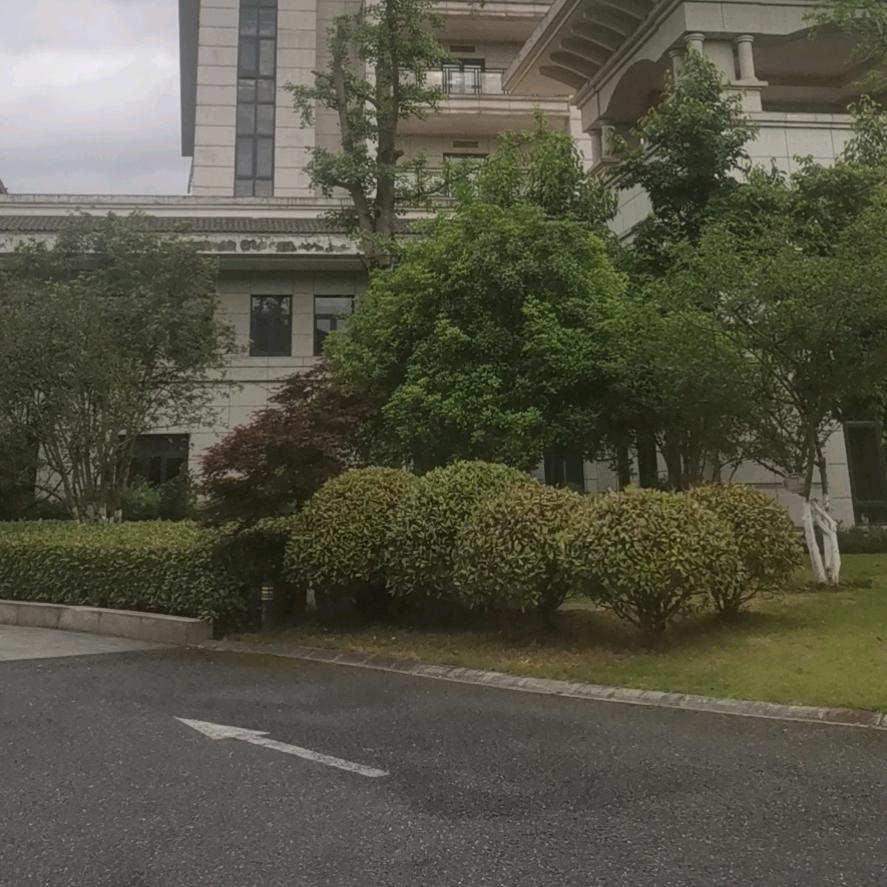 再见还能重逢吗