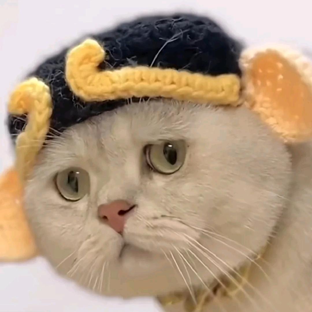 老六头像