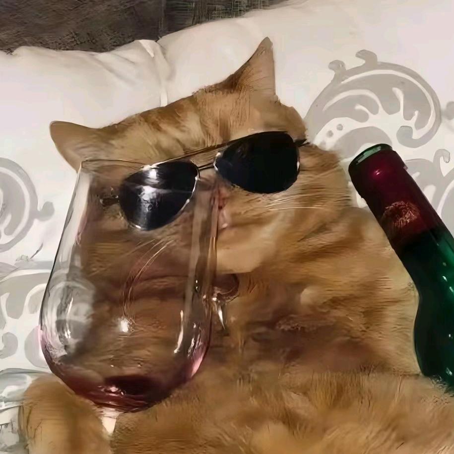 天天都要喝茶颜！