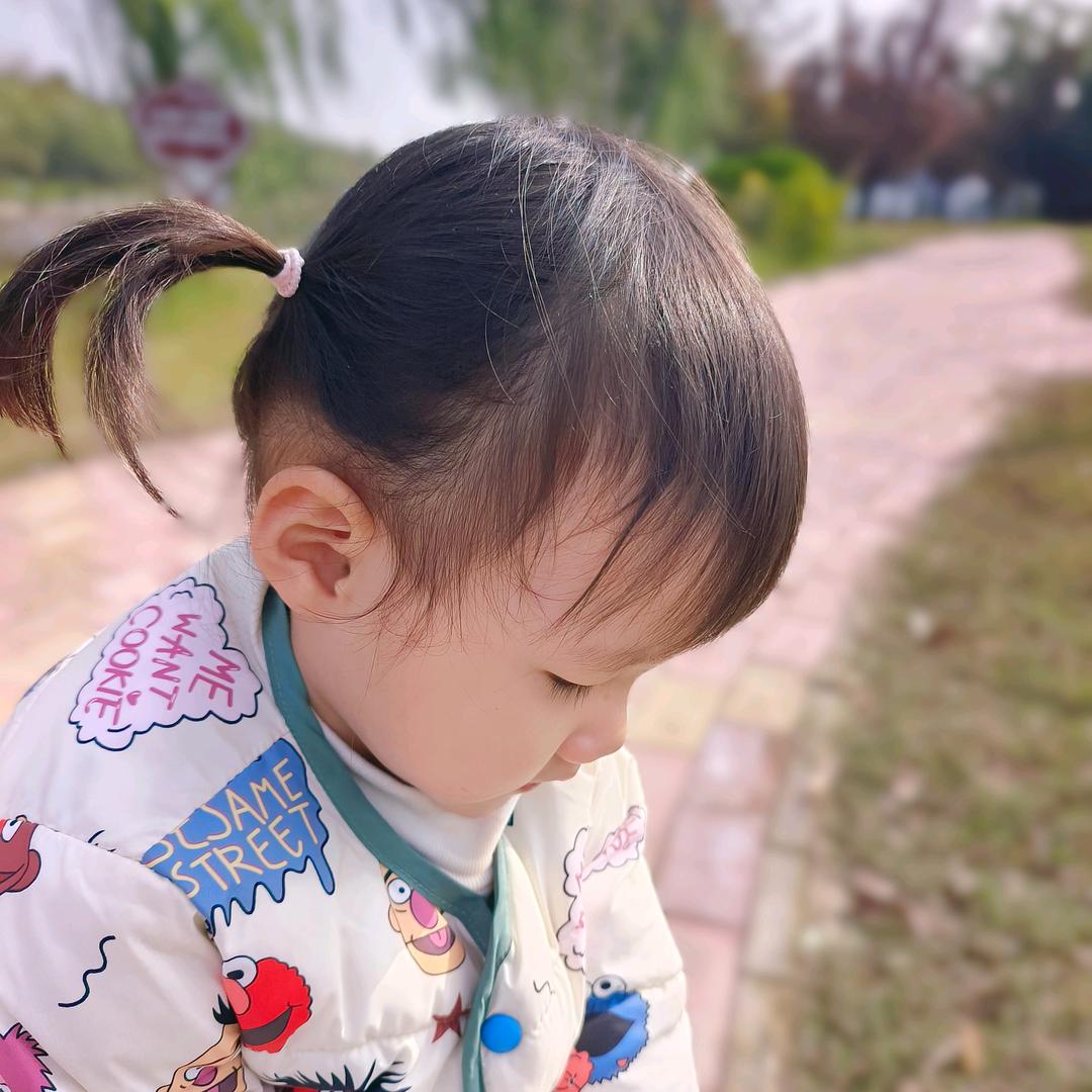 招财小暖宝