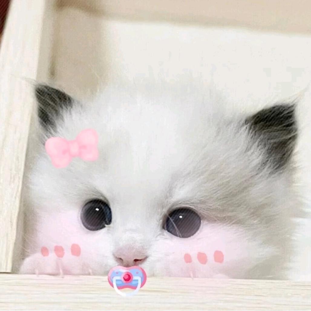 ❀mua