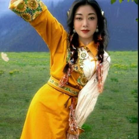 五朵玫瑰花