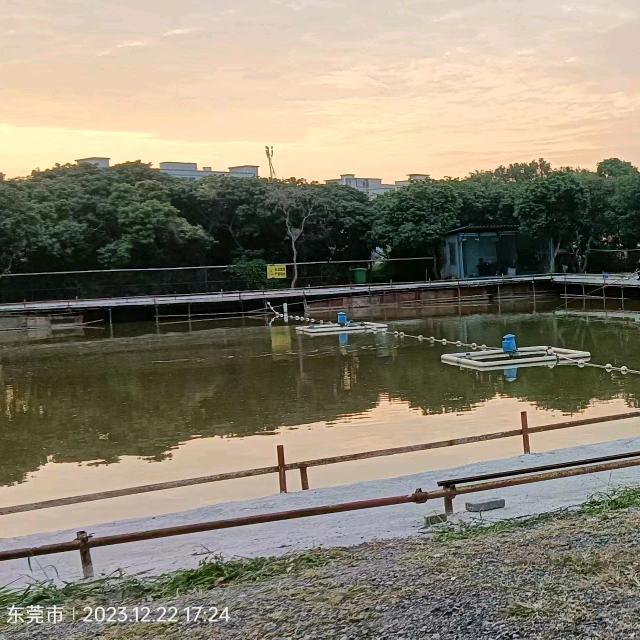 跨境钓鱼场-老郭