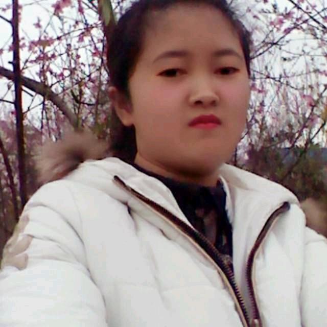 🌸🌸🌸一个人独闯天涯🌸🌸🌸