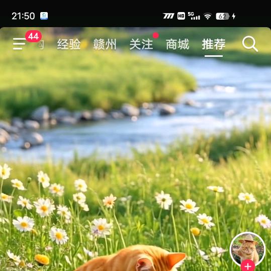 心研