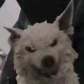 赤心睡不醒♪🎹