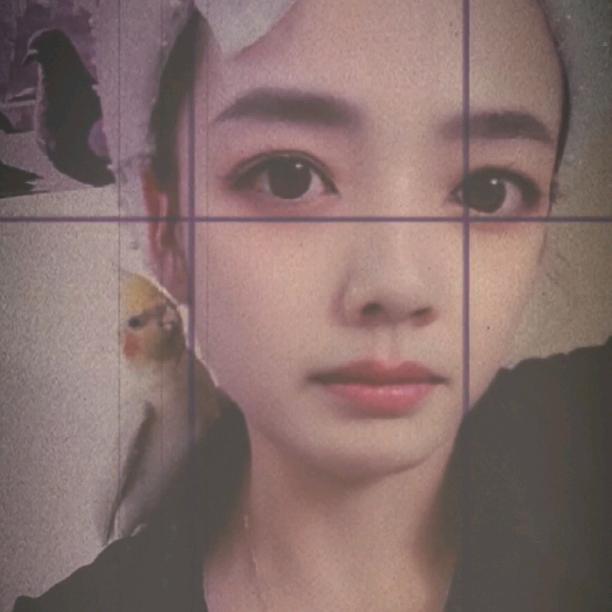 鸽星小粮仓🕊🕊