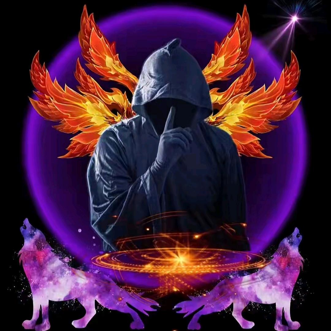 冷眼看世界，互关