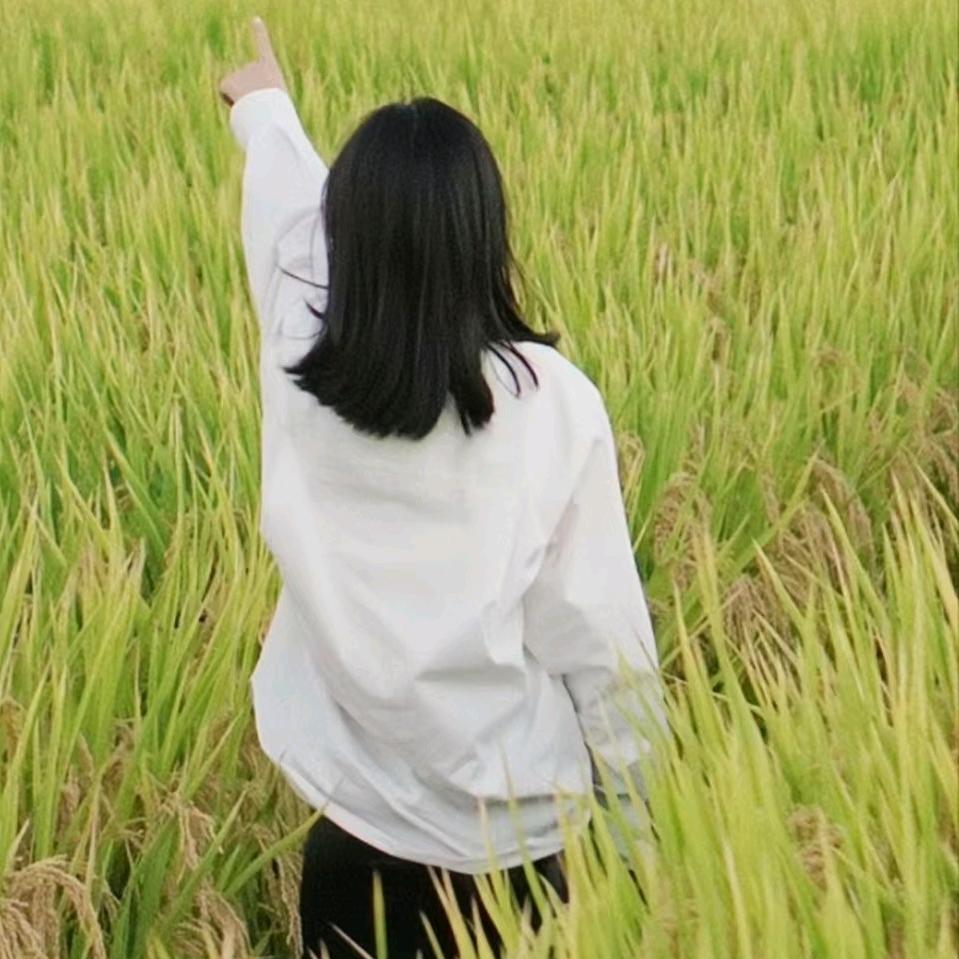 田间九妹