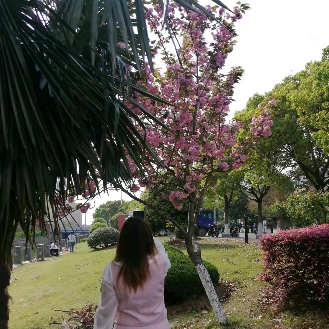 心语