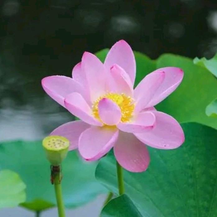 蓉蓉姐