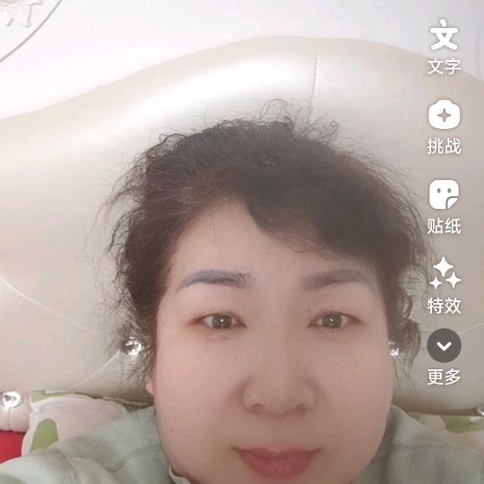 杨树