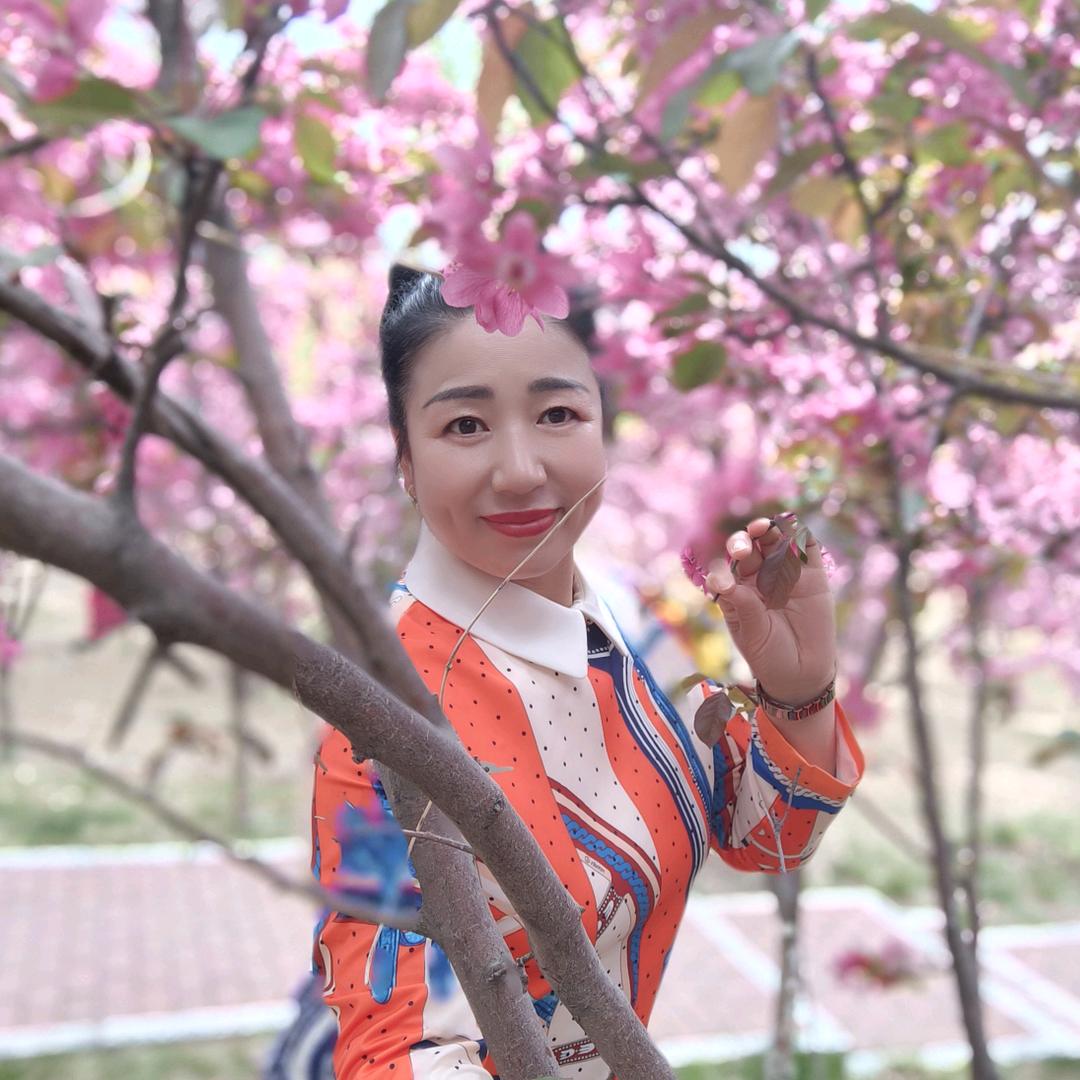 🐳感悟人生🐬