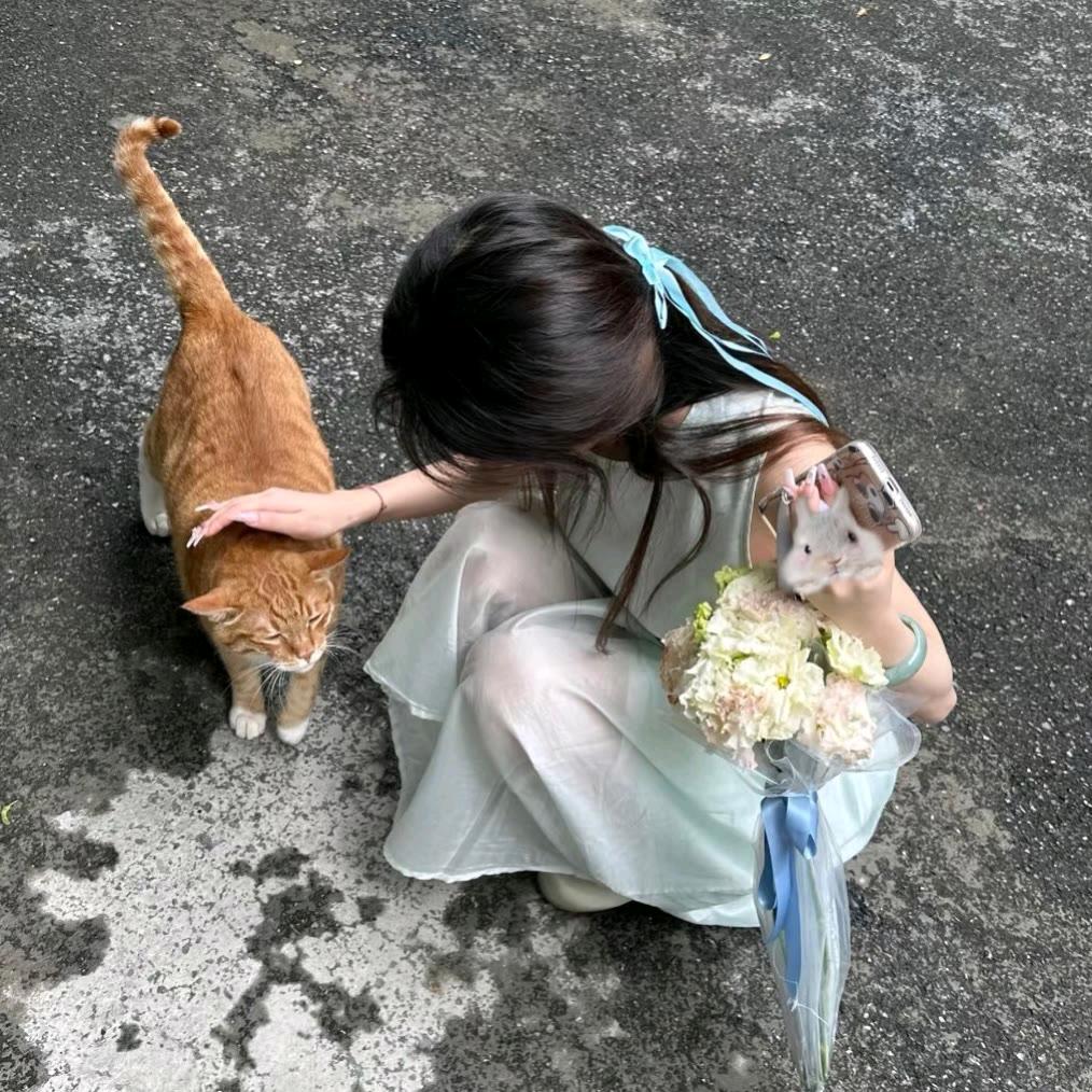 晓琪