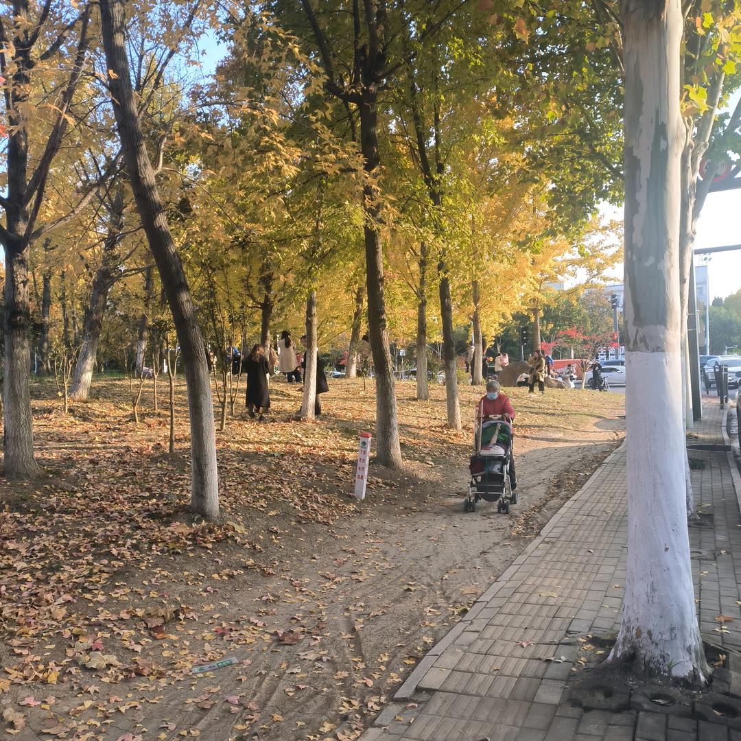 落石临湖