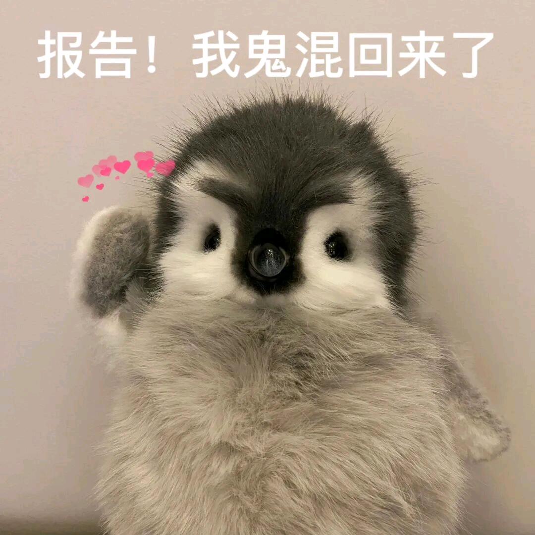 一条蚂蚁