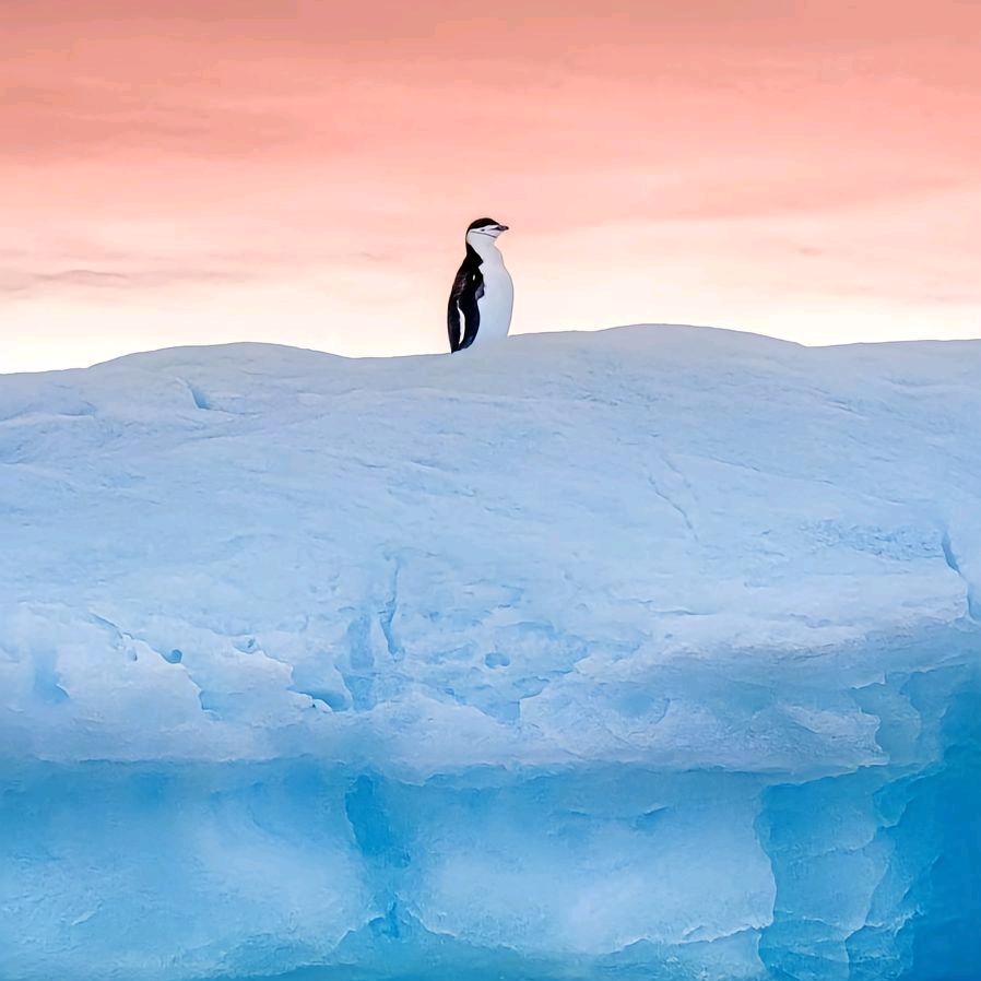 宇宙之大 ᵛᵃᵉ