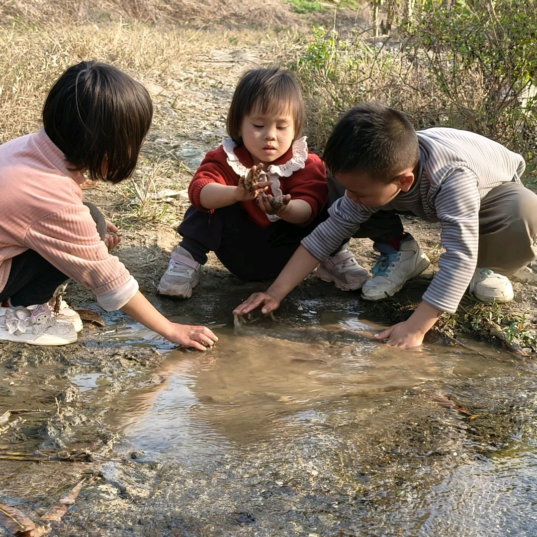 三妹铭凯日常