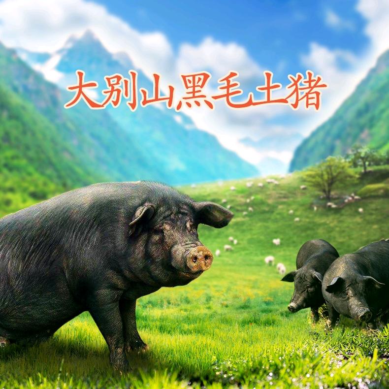 大别山黑毛猪肉